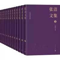 音像张洁文集(全13卷)张洁
