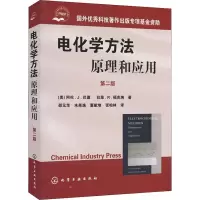 音像电化学方法 原理和应用 第2版