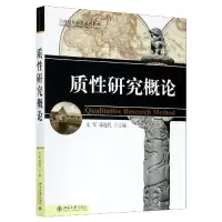 音像质研究概论(21世纪社会学系列教材)文军
