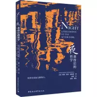 音像夜 黄昏后的哲学(英)杰森·巴克·莫哈格