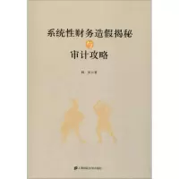 音像系统财务造揭秘与审计攻略洞炎