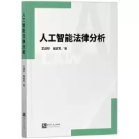音像人工智能法律分析王润华, 张武军