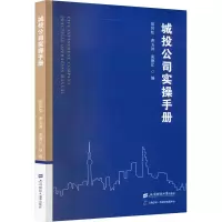 音像城投公司实操手册胡恒松,曹玉屏,苑德江