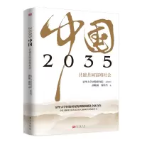 音像2035中国共建共同富裕社会清华大学国情研究院组织编写胡鞍钢