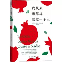 音像我从未像那样爱过一个人(西)路易斯·拉米罗