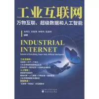 音像工业互联网 万物互联、数据和人工智能余来文 等