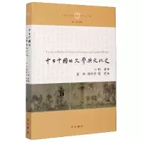 音像中古中国的文学与文化史/中国中古学术思想书系柯睿