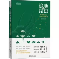 音像追随昆虫 2 暗夜舞台与迷雾中的推理杨小峰