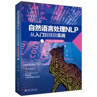 音像自然语言处理NLP从入门到项目实战:Python语言实现艾浒