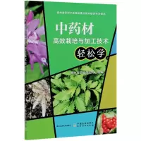 音像材高效栽培与加工技术轻松学贵州省农业农村厅组编