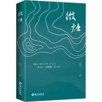 音像微烛朱湘山