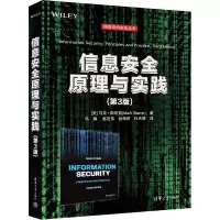 音像信息安全原理与实践(第3版)(美)·坦普