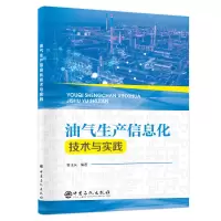 音像油气生产信息化技术与实践鲁玉庆