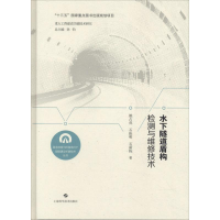 音像水下隧道盾构检测与维修技术姚占虎,石振明,石新栋