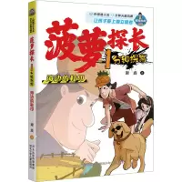 音像海边的鞋印谢鑫