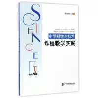 音像小学科学与技术课程教学实践戴缪勇