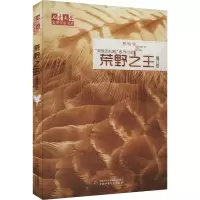 音像荒野(修订版)牧铃