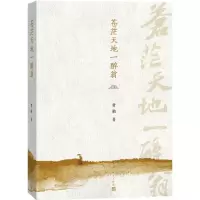 音像苍茫天地一醉翁费勤 著