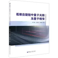 音像低维自旋链中量子关联及量子相变尹少英,王相光,张玉琦