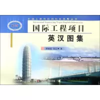 音像国际工程项目英汉图集杨道富 张亚坤