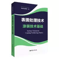 音像表面处理技术(涂装技术基础)(精)付志英