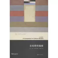 音像文化研究指南(美)托比·米勒(Toby Miller)
