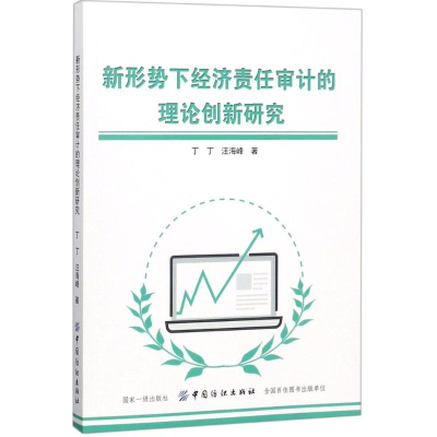 音像新形势下经济责任审计的理论创新研究丁丁,汪海峰 著