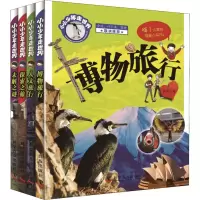 音像小小少年走世界丛书(4册)庞旸