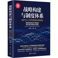 音像战略构建与制度体系 组织与人力资源管理全景视角许玉林,王剑