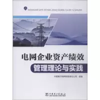 音像电网企业资产绩效管理理论与实践中国南方电网有限责任公司