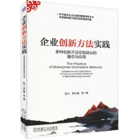 音像企业创新方法实践 多种创新方法在制造业的融合与应用彭凡 等
