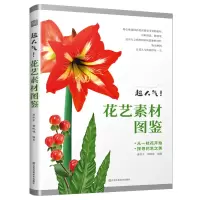 音像超人气!花艺素材图鉴唐秋子 胡晓娃