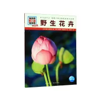 音像野生花卉(学生版)/什么是什么海克·赫尔曼