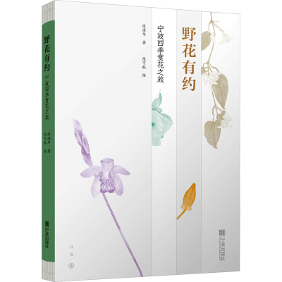 音像野花有约 宁波四季赏花之旅张海华