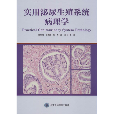 音像实用泌尿生殖系统病理学杨熙明