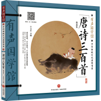 音像唐诗三百 精集文心