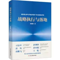 音像战略执行与落地孙建恒