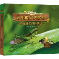 音像昆虫和它们的亲戚韩雨江 陈琪