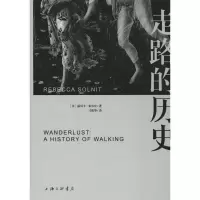 音像走路的历史(美)丽贝卡·索尼尔(Rebecca Solnit)