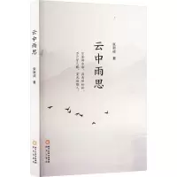 音像云中雨思张新成