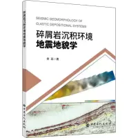 音像碎屑岩沉积环境地震地貌学李磊