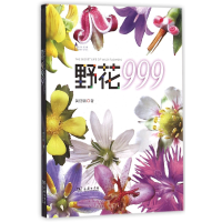 音像野花999/自然观察黄丽锦