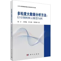 音像多粒度大数据分析方法:以树和云模型为例徐计 等