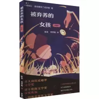 音像被弃养的女孩 典藏版(意)多娜泰拉·迪皮耶特兰托尼奥