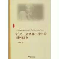 音像托尼·莫里森小说中的母研究毛艳华