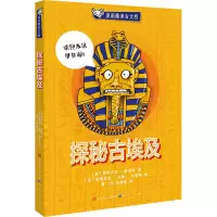音像探秘古埃及(意)奥林匹亚·美第奇