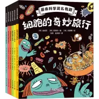 音像原来科学这么有趣(全6册)(韩)金成花,(韩)权秀珍 等