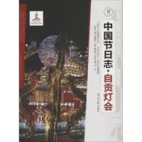 音像自贡灯会田阡