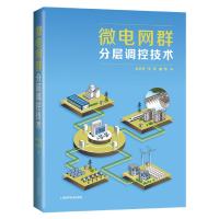 音像微电网群分层调控技术吕天光 艾芊 赫然 著