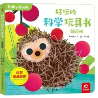 音像好玩的科学玩具书/躲起来呦呦童 雯燕